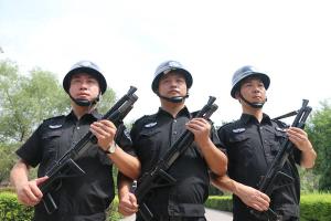 成功案例